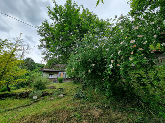 CHALÚPKA a POZEMOK 1207m2 PRI LESÍKU KRAJNÉ KOPANICE MYJAVA - 12