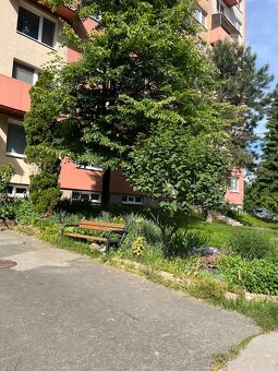 Veľký 3-izb.byt, 85 m2, Alexyho ul. - 12