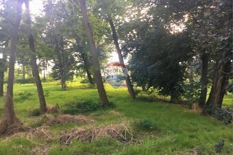 RE/MAX | Exkluzívna klasicistická kúria v Jatove– historický - 12