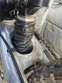 Ancillotti Tomaso DHP - 12