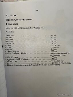Predam majstrovske husle Mathias Heinicke - 12