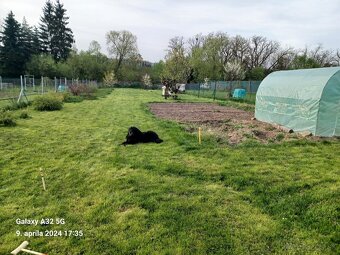 Predaj rodinného domu v Očovej - 12