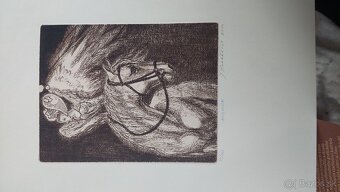 Grafiky litografie - 12