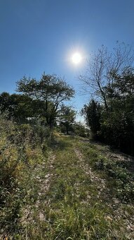 Pozemok 1223 m2 s krásnym výhľadom - Obyce - 12