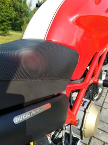 Ducati Monster S4R 998 Testastretta 3976Km - 12