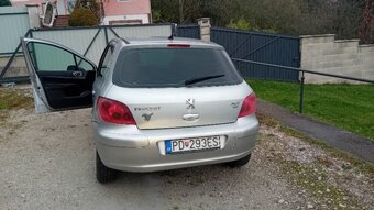 Peugeot 307 - 12