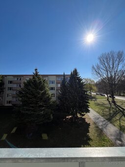 1-izbovy byt na prenajom Skalica - 12
