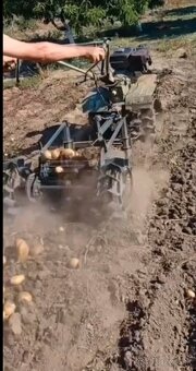 Jednoradový vyorávač zemiakov s dopravníkom - 12