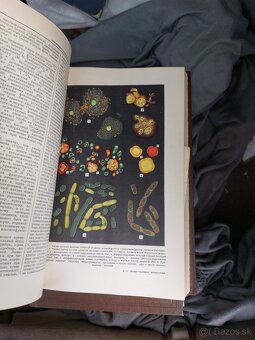Knihy medicina lekarske.anatomia - 12