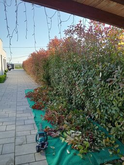 Ponúkame kosenie pozemkov - 12