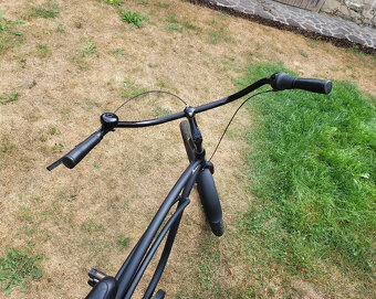 Embassy Black panther 7spd - 12