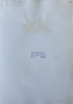 Fotografie Irena Bluhová (1904-1991) - 12