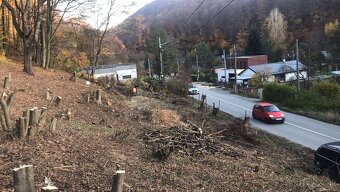 🌳 kosenie, orez / výrub stromov, ,odvoz 🌿 - 12