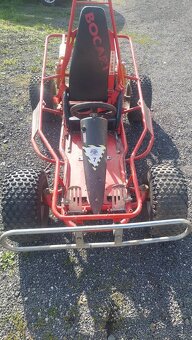 Buggy - 12