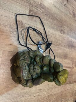 Terárium s chameleónom - 12