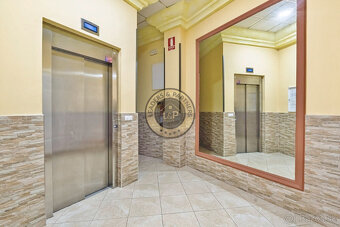 Apartmán 3+kk s bazénom Torrevieja-La Mata, Španielsko - 12