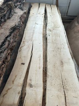 Vysušené javorové fošne, javor horský - 12