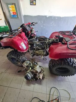 Kawasaki bruteforce 650 2006 - 12