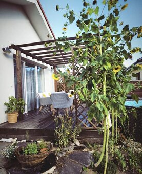 Studienka:Novostavba bungalovu na Záhorí na pozemku 562m2. - 12