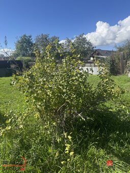 Na predaj: Dvojgeneračný slnečný dom s veľkým pozemkom – Bad - 12