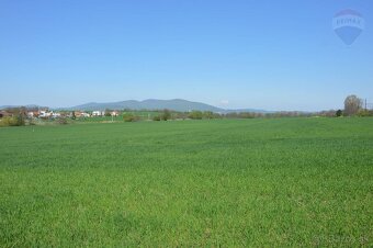Predaj investičný stavebný pozemok Boleráz - 12