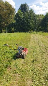 Rizikový výrub a orez stromov, kosenie a údržba pozemkov - 12