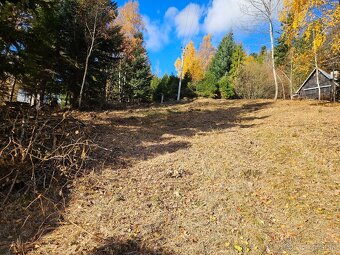 Predam chatu s pozemkom 1978m2 Drienica - 12