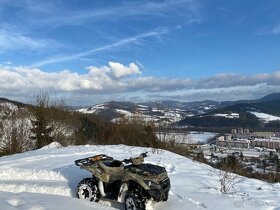 Kawasaki Brute Force 750 - 12