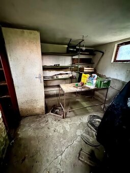 Na predaj chata s 5 ár pozemkom pri mŕtvom ramene Nitry - 12