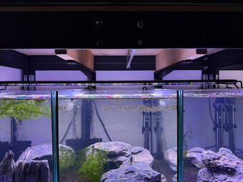 Regály s akváriami, technikou a rybičkami - 12