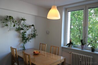 Prenájom 2 izbového bytu Nivy - 12