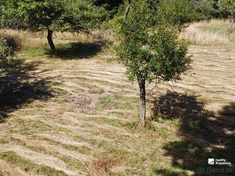 Malý domček, pokojná ulička, veľký pozemok a stodola - 12