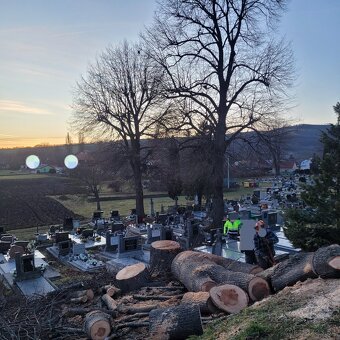 Rizikové rezanie stromov - 12