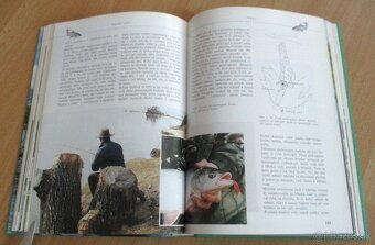 Rybárstvo – Lov dravých rýb na prívlač - 12