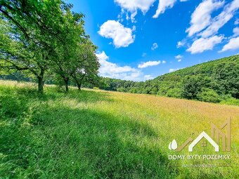 Veľkorysý, 2,5 ha pozemok za výbornú cenu - 12