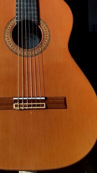 Gitara Španielská Merida Extrema model Diana - 12