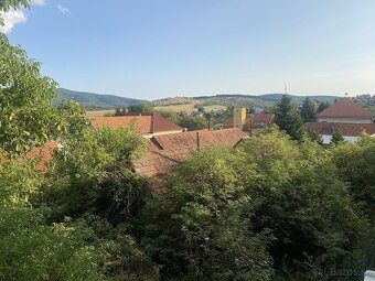 Veľkorysý dom na 30 árovom pozemku, Jedľové Kostoľany, okr.  - 12