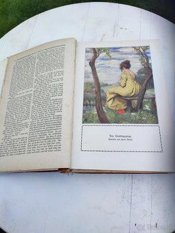 Starožitna kniha - 12