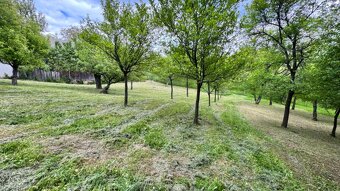 Stavebný pozemok Brestovec u Ticháčkov - 1140 m2, plyn, elek - 12