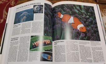 ZVIERATÁ, RASTLINY, RYBÁRSTVO, KUTIL... - 12