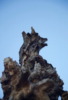 Canon eos Mark ll - 12