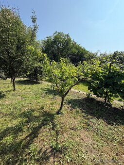 Chata pri rieke Váh Na Predaj. - 12