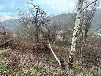Nizny Klatov Gruby 451 m2 Pozemok + chata - 12
