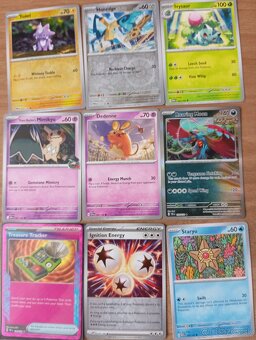 Pokémon karty - 12