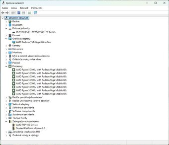 HP255 G7 /AMD Ryzen 5 3500U/8GB RAM/FHD/256GB SSD/Bat ok - 12