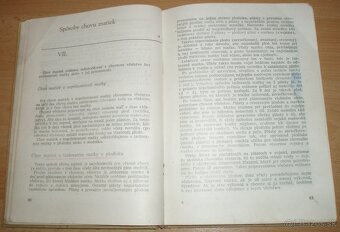 Chov včelích matiek - 12