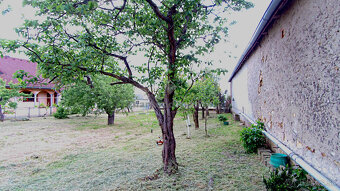 Rovinatý a slnečný pozemok v pokojnej obci Kašov - 12