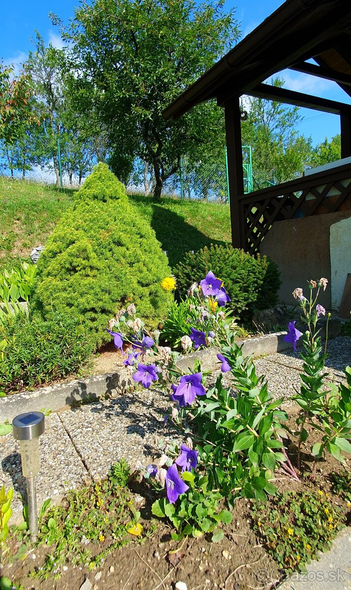 Záhrada s murovanou chatkou - 13