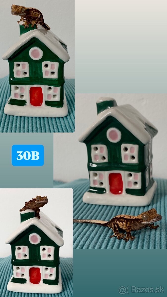 Pagekon riasnaty - 13