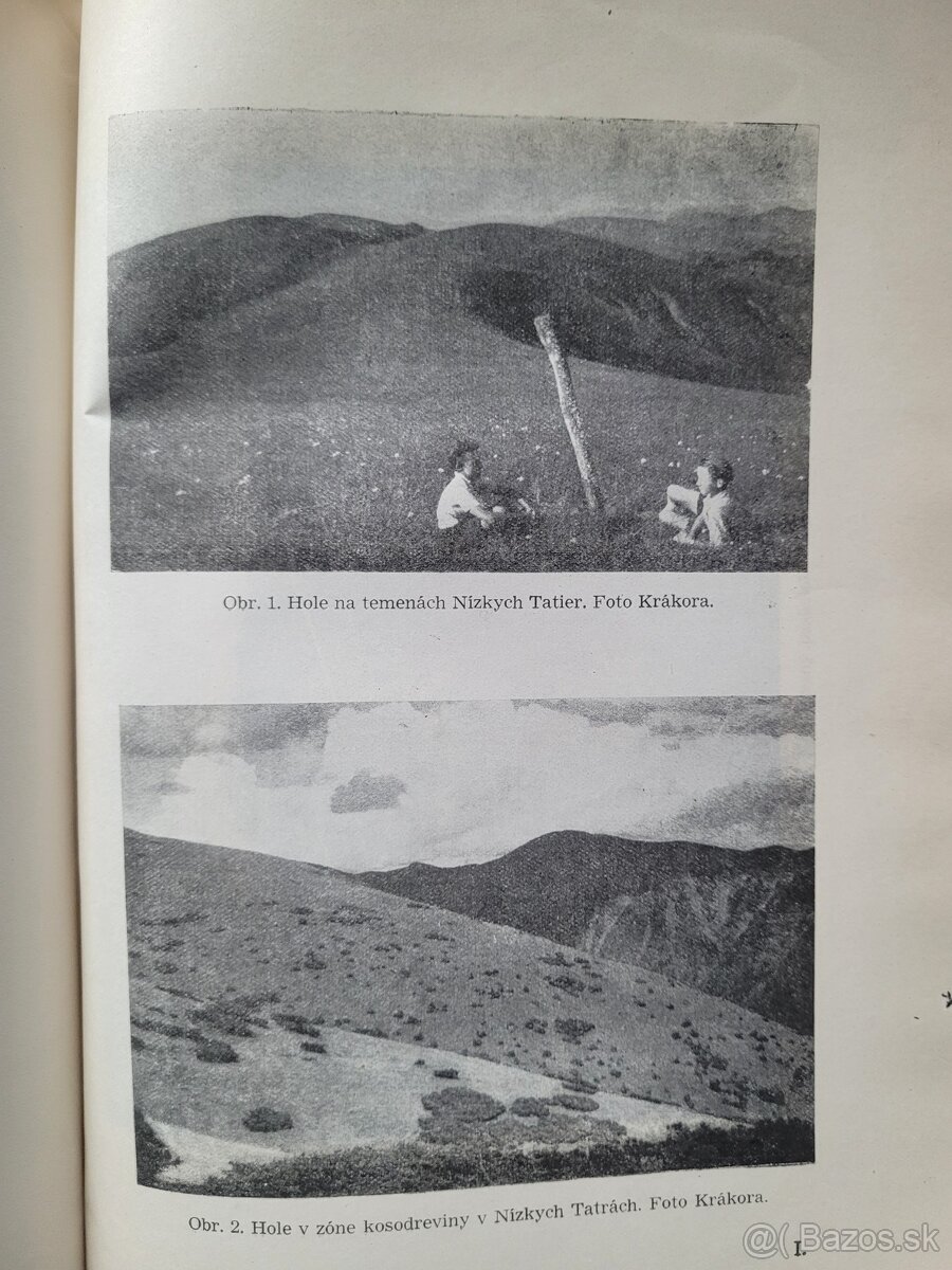 Mliečne hospodárstvo na Slovensku - 13